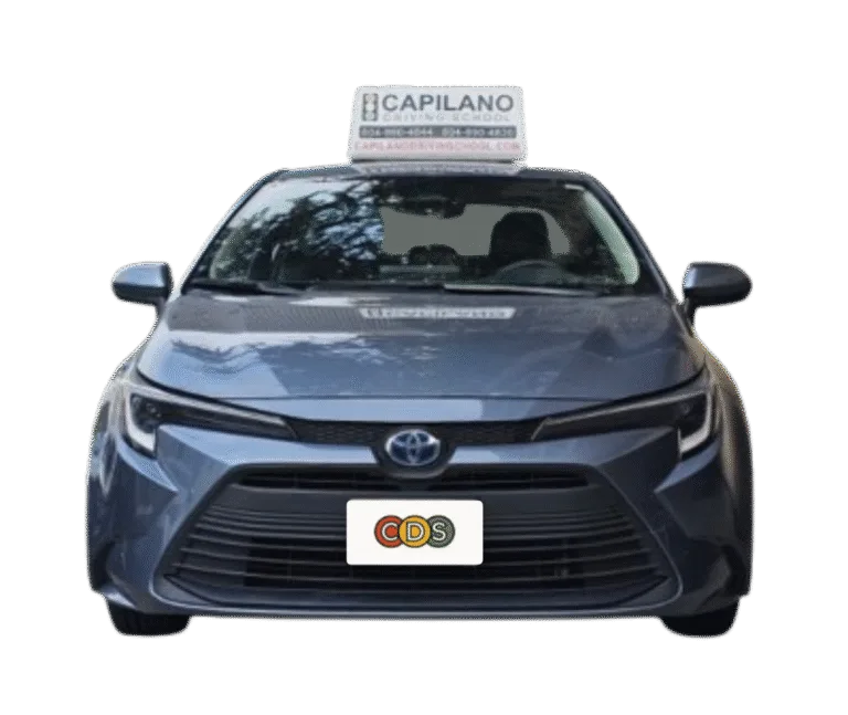 Form splash image (2)