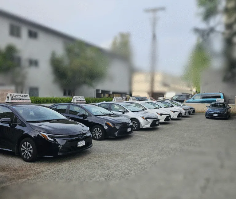 Form splash image (5)